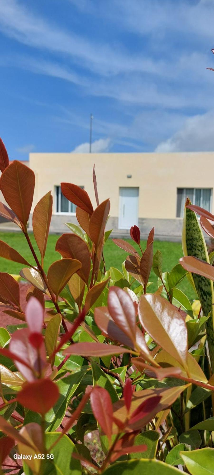 Pineapple Studio Ponta Delgada الغرفة الصورة