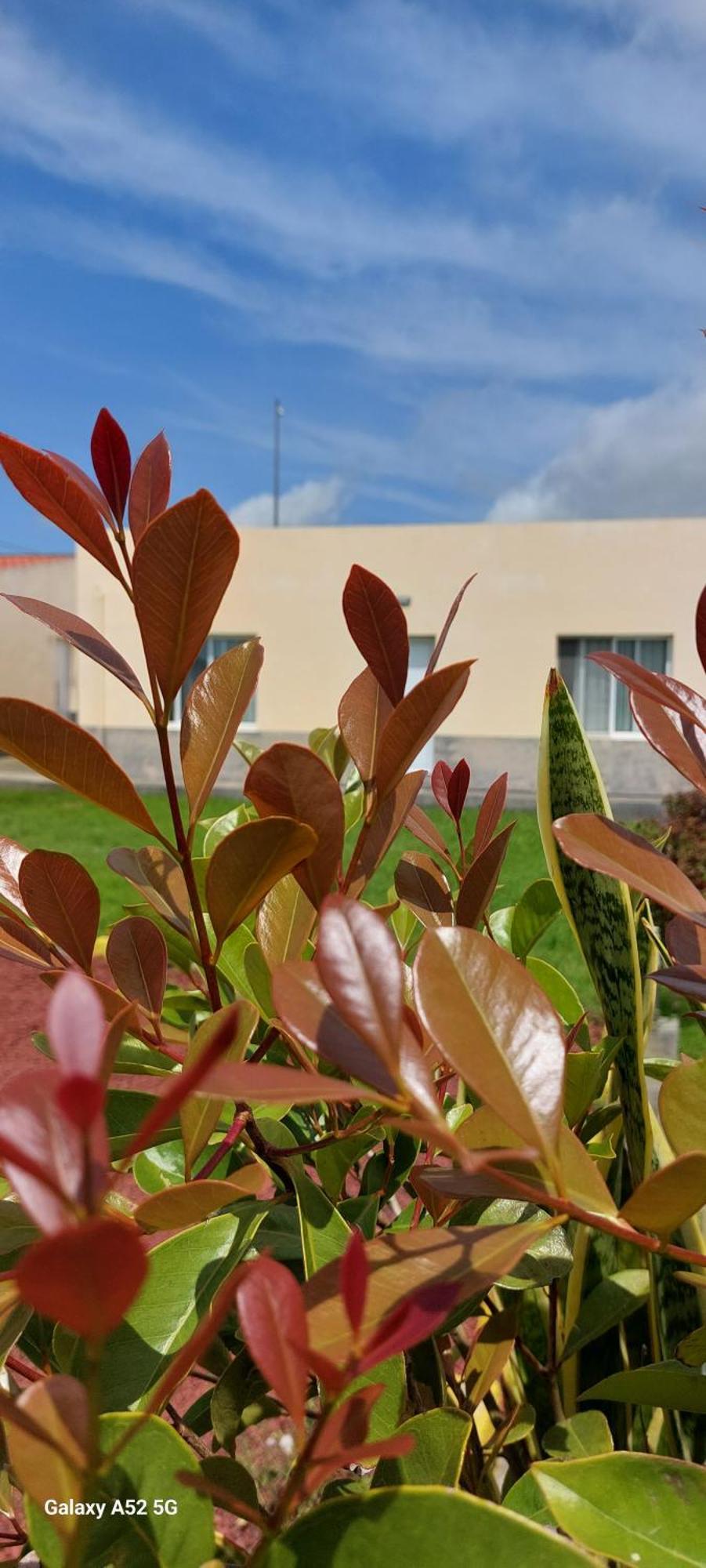 Pineapple Studio Ponta Delgada الغرفة الصورة