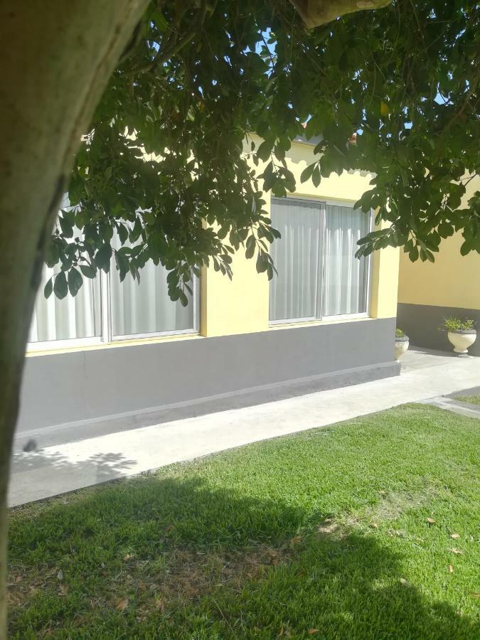 Pineapple Studio Ponta Delgada المظهر الخارجي الصورة